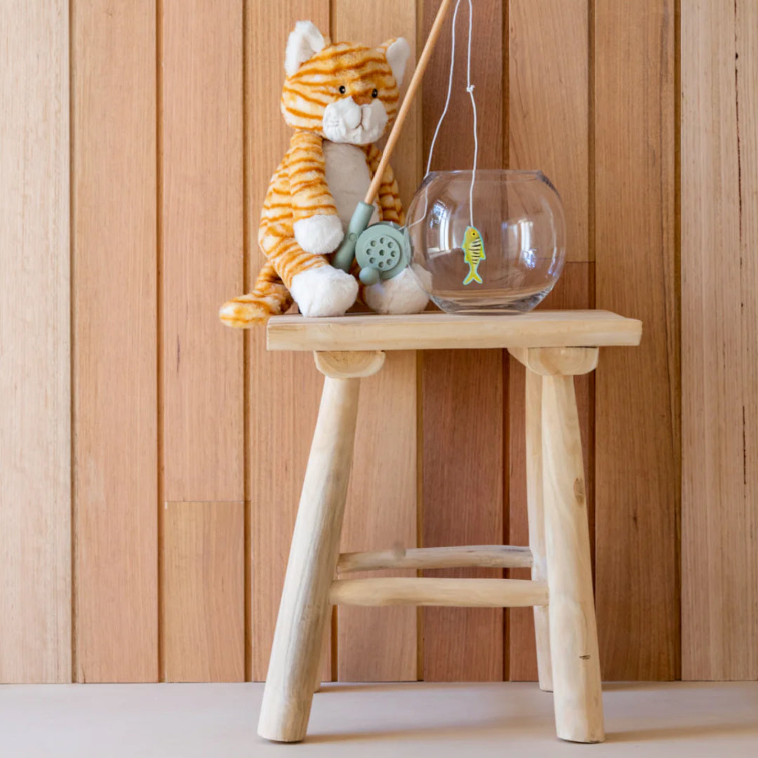 NANA HUCHY GINGER THE CAT