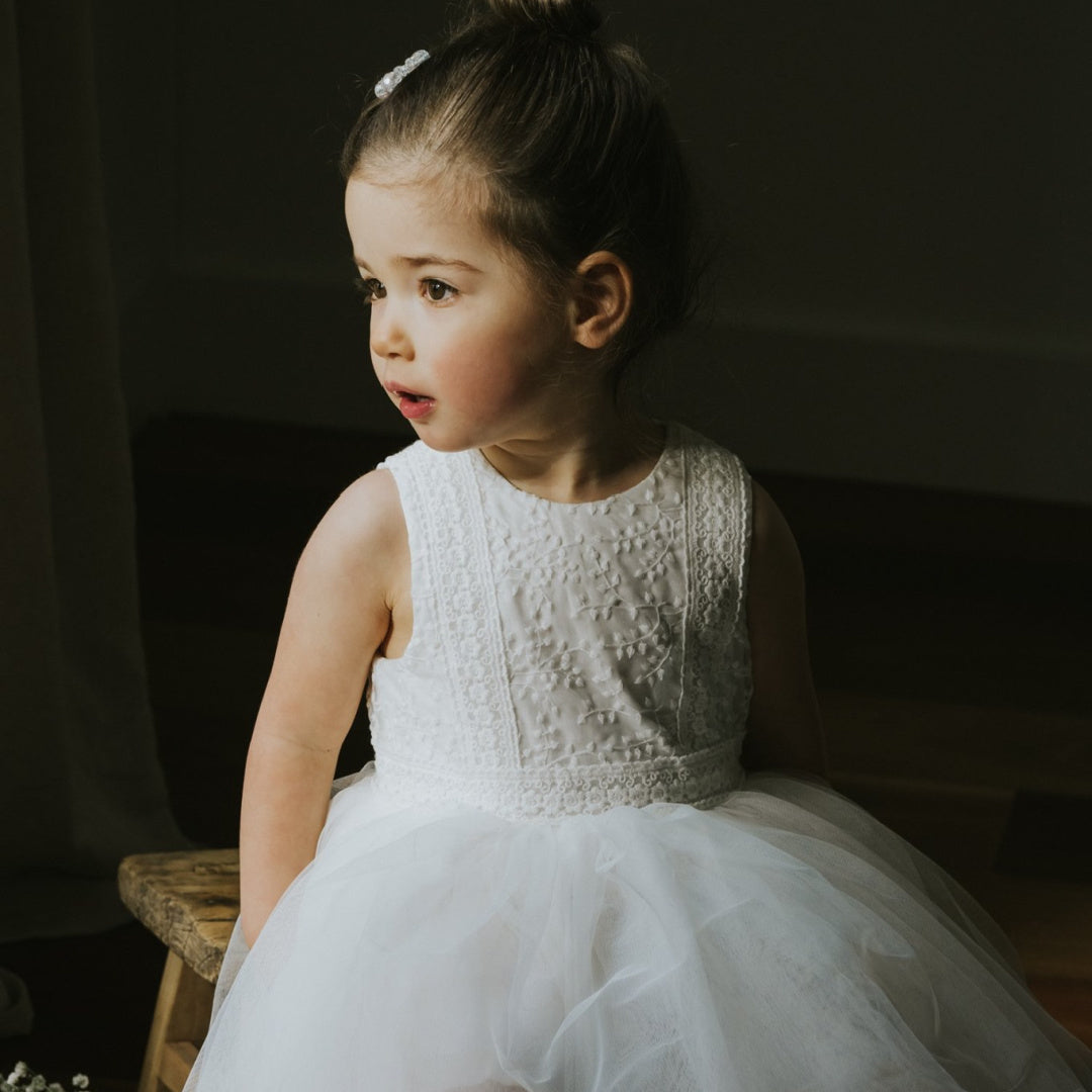 BEBE EMBROIDERED ORGANZA DRESS