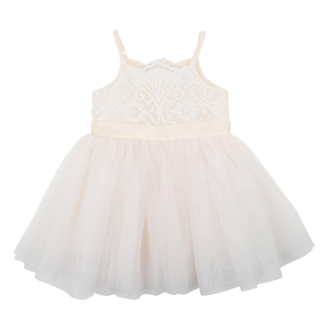 BEBE LACE BODICE DRESS