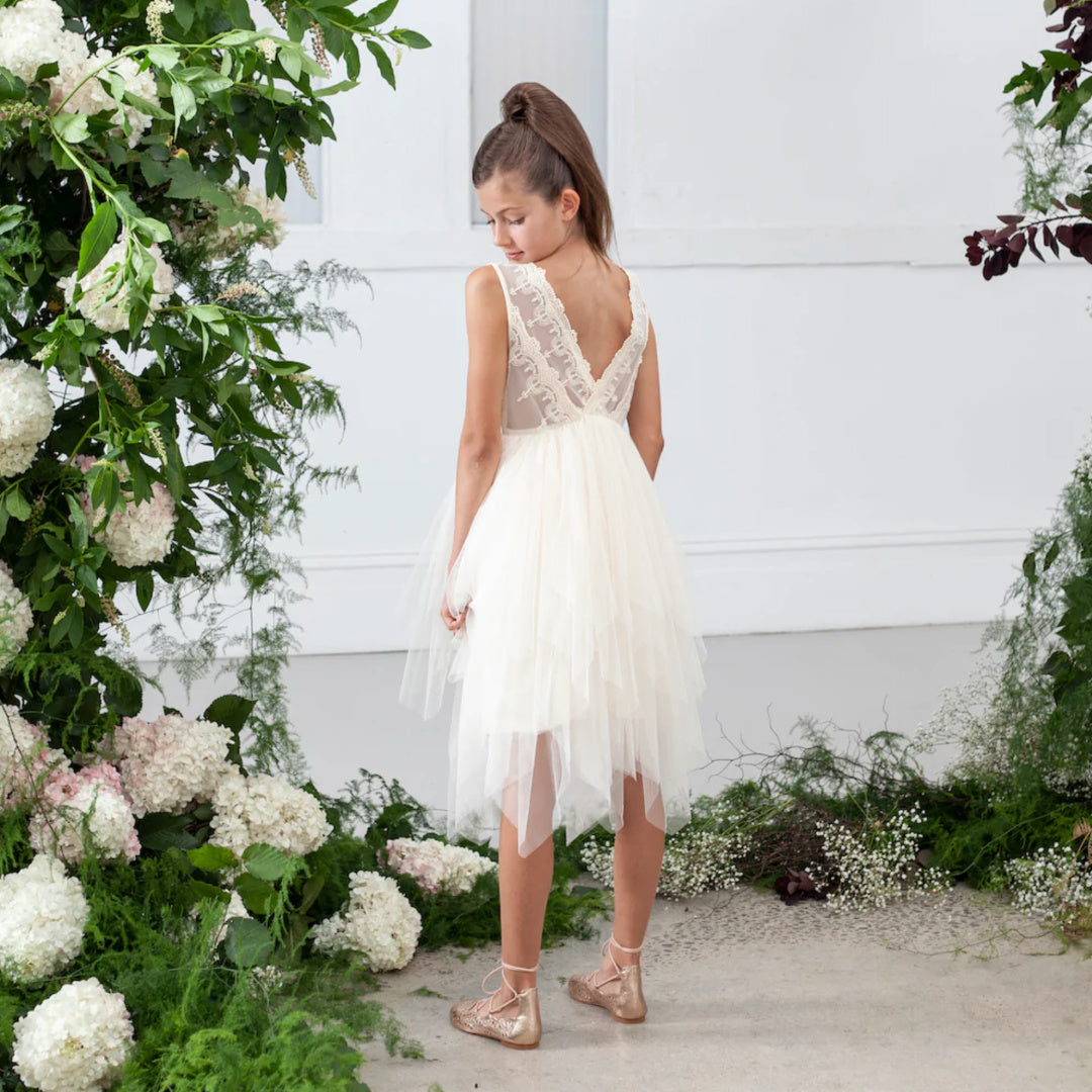 DESIGNER KIDZ SOPHIE LACE BODICE TUTU DRESS - BEIGE