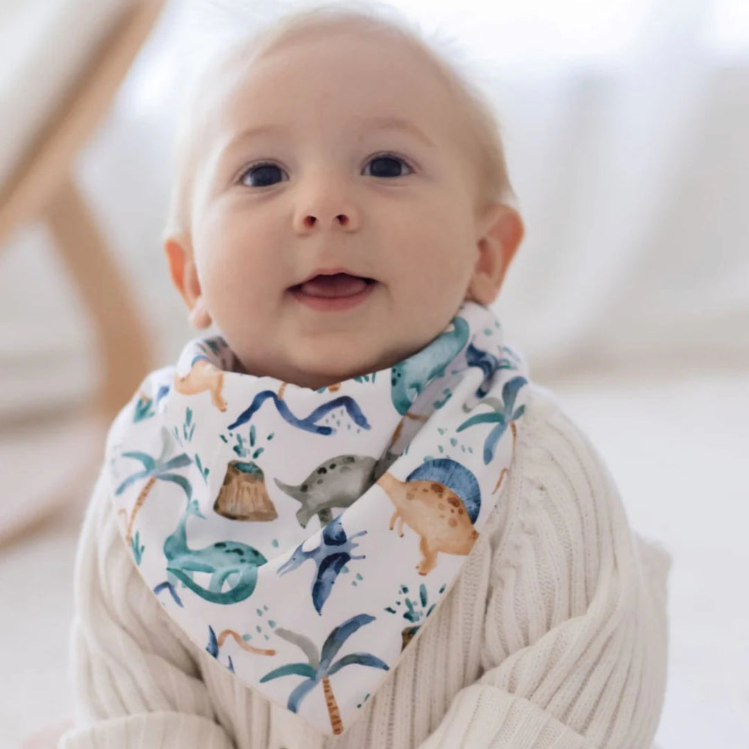 BAMBELLA DESIGNS BANDANA BIBS 2 PACK | WILD DINOSAURS &amp; STORM