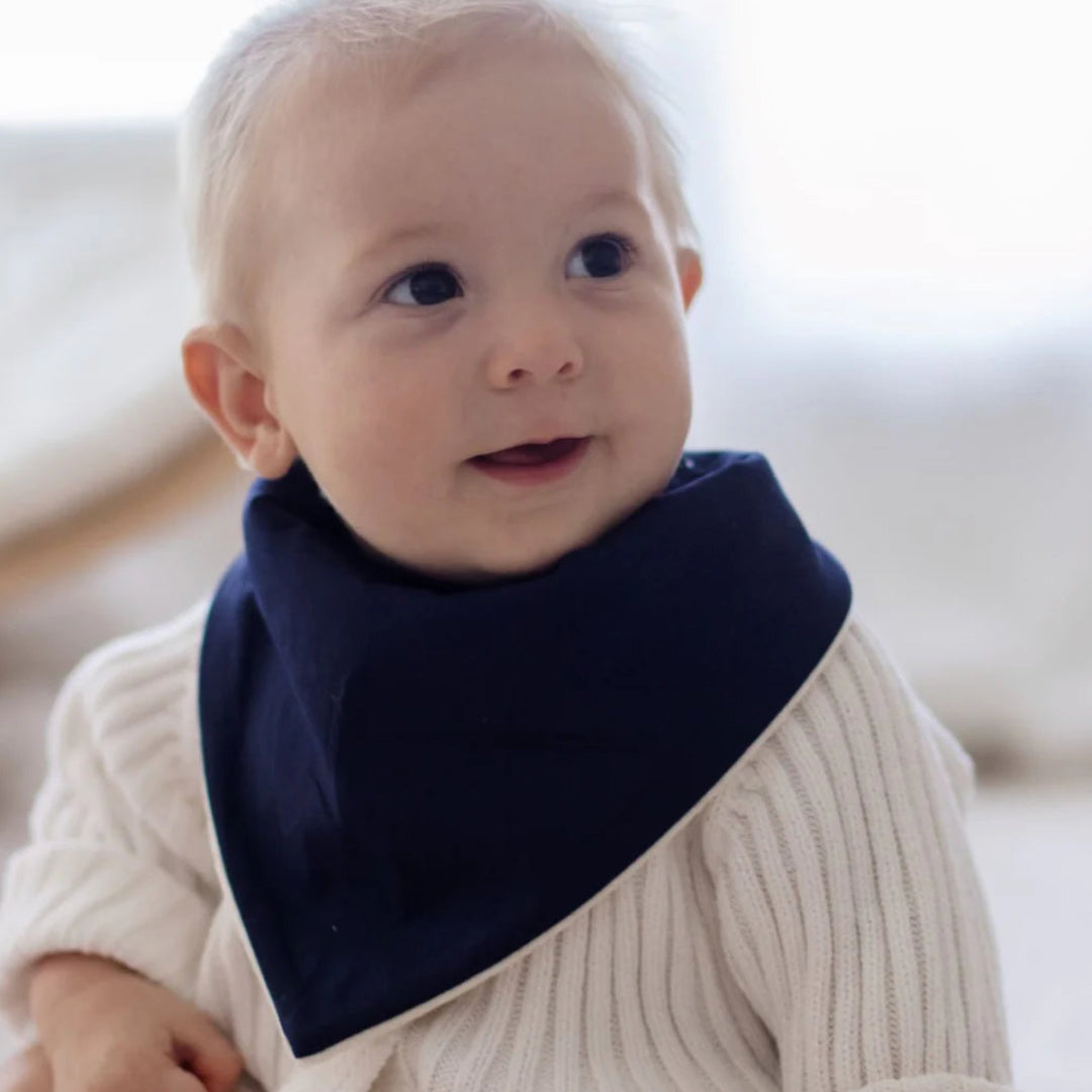 BAMBELLA DESIGNS BANDANA BIBS 2 PACK | WILD DINOSAURS &amp; STORM