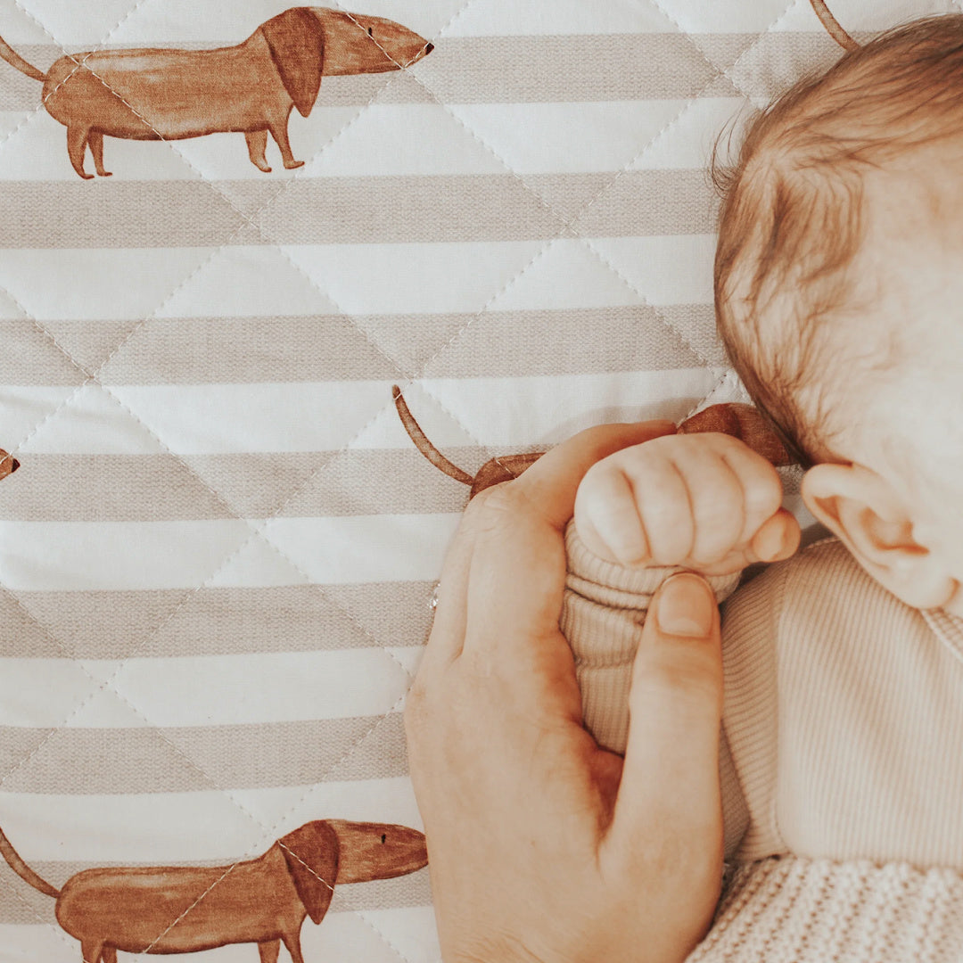 BAMBELLA DESIGNS WATERPROOF FITTED BASSINET SHEET/ CHANGE MAT COVER - GREY SAUSAGE DOG