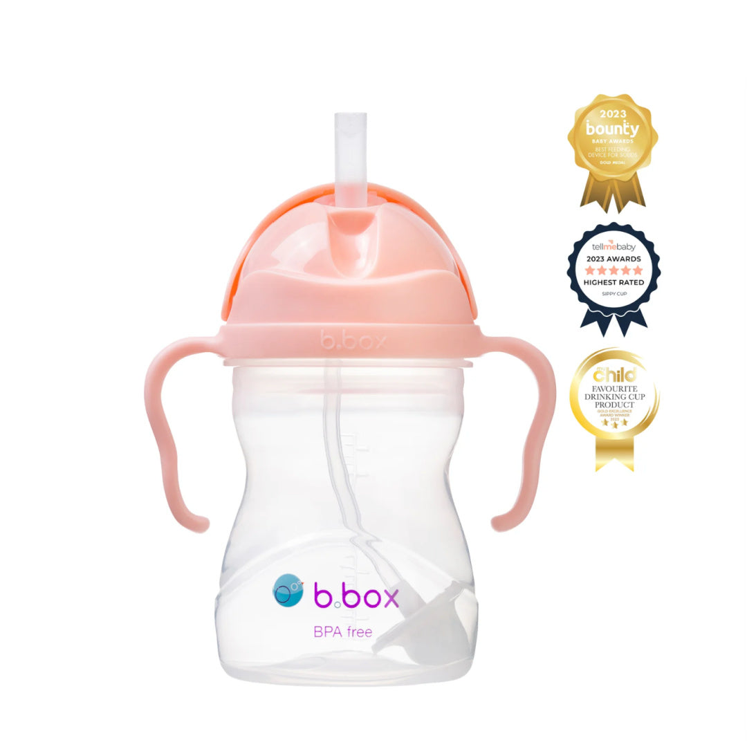 B.BOX SIPPY CUP - GELATO TUTTI FRUTTI
