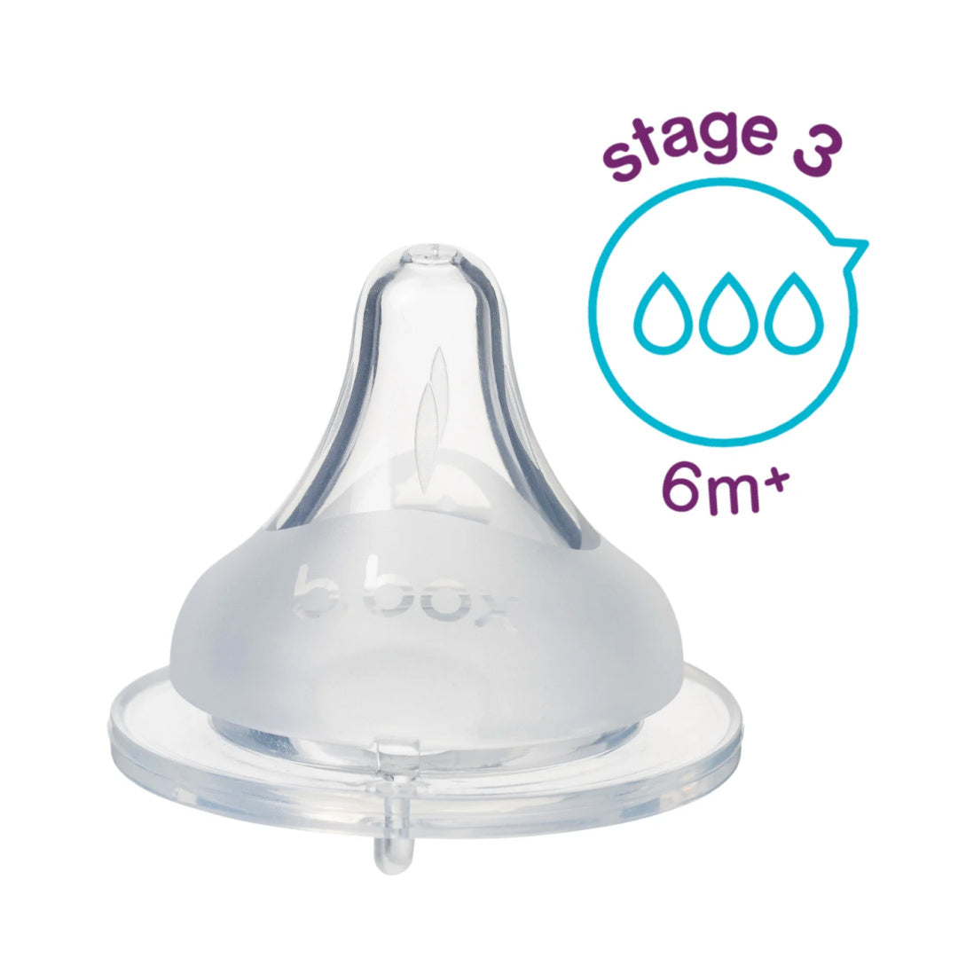 BBOX 2 PACK BABY BOTTLE ANTI-COLIC TEAT - STAGE 3 [6M+]