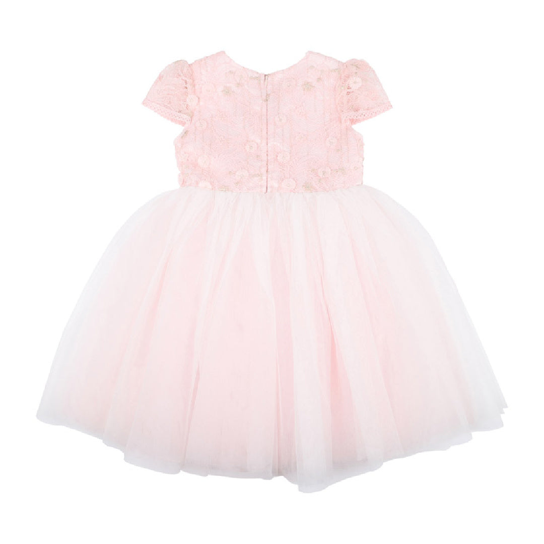 BEBE LACE BODICE DRESS - DUSKY PINK