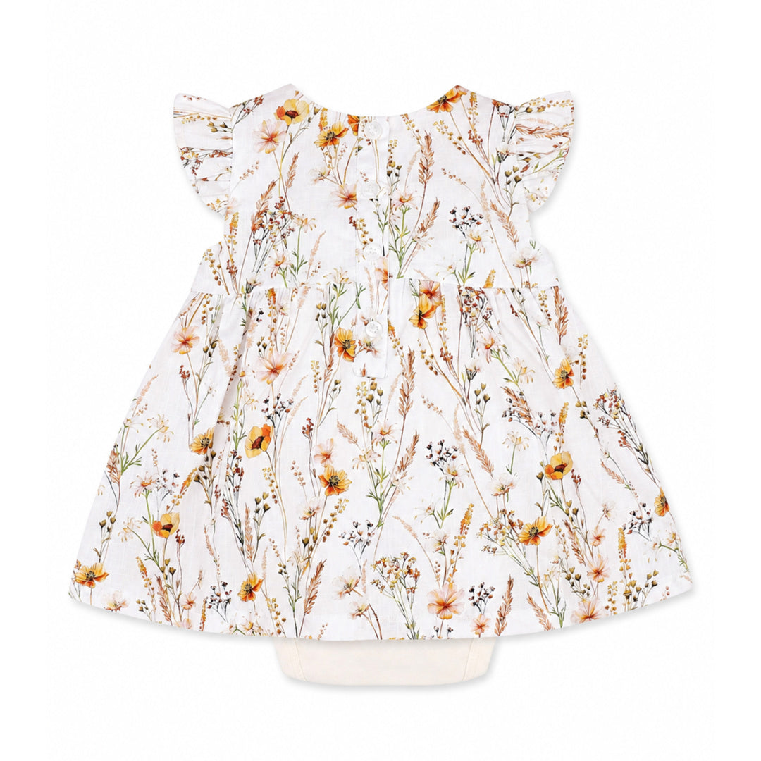 BEBE TAYLOR OVERLAY DRESS