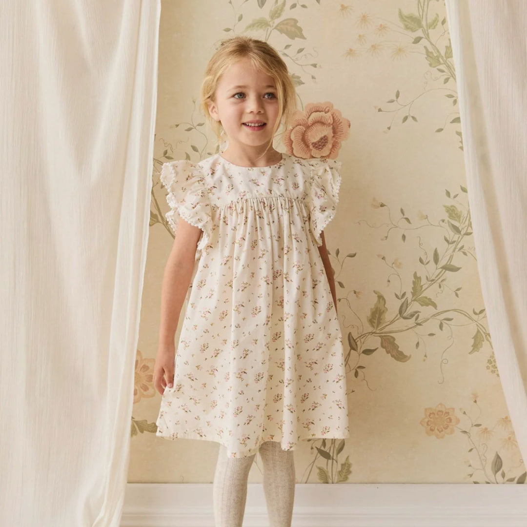 JAMIE KAY ORGANIC COTTON ELEANOR DRESS - BIANCA ANTIQUE