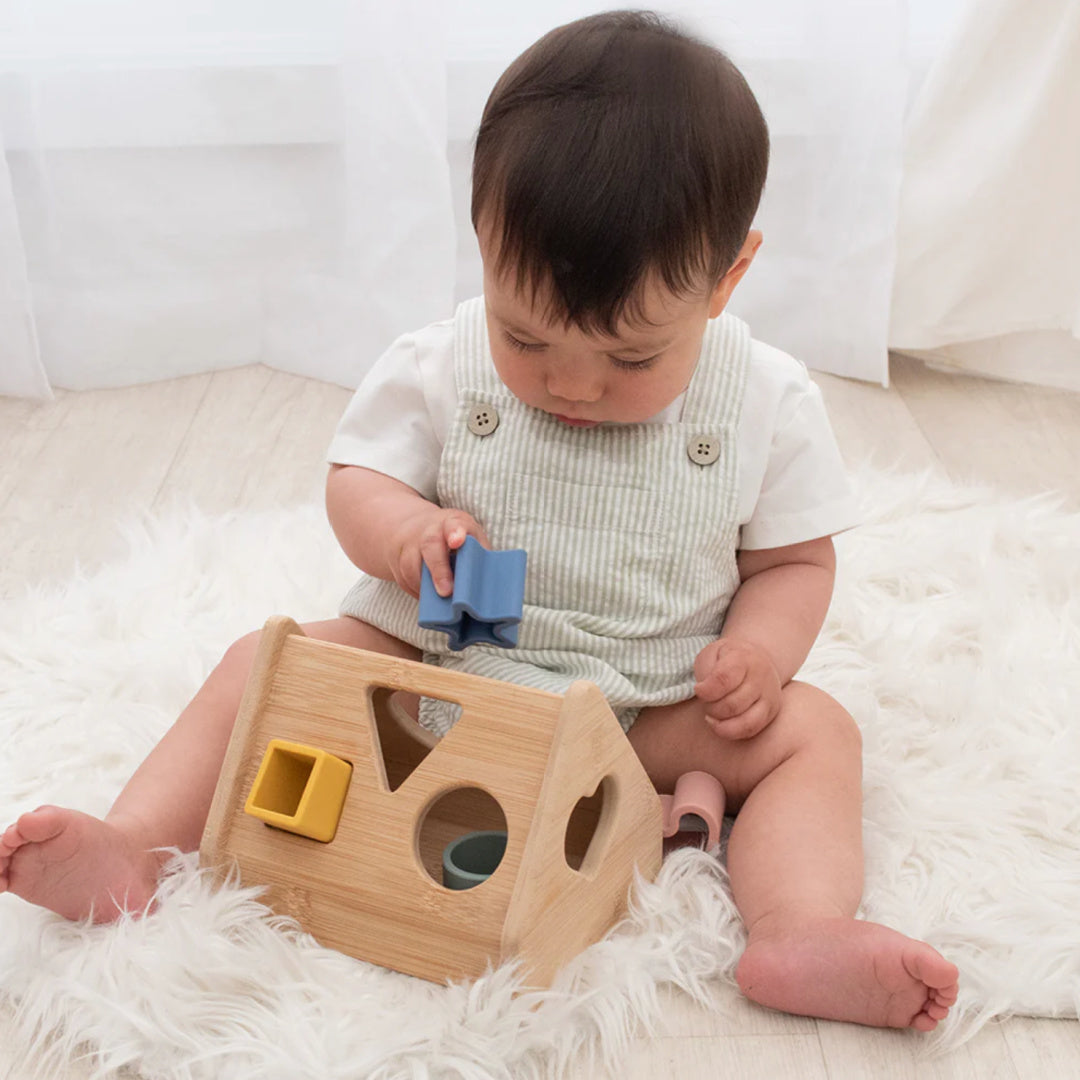 LIVING TEXTILES HOUSE SHAPE SORTER