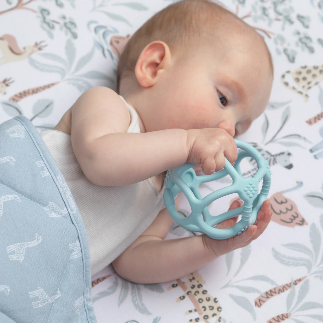 LIVING TEXTILES SILICONE TEETHING BALL - LIGHT BLUE