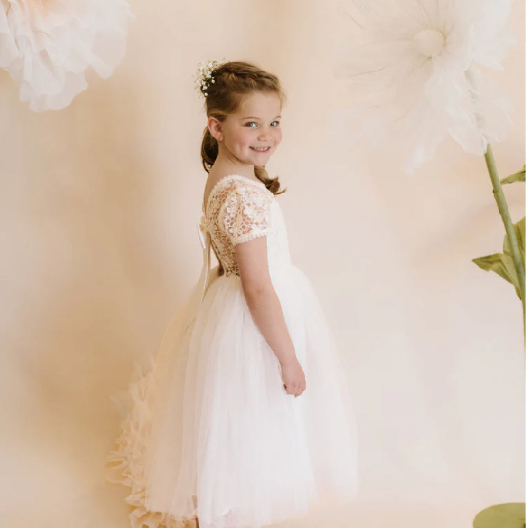 BEBE LACE BODICE WITH BACK BOW DRESS