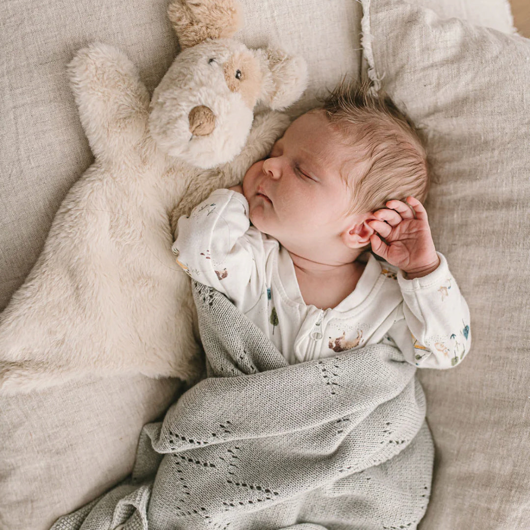 NANA HUCHY BUDDY THE DOG HOOCHY COOCHIE