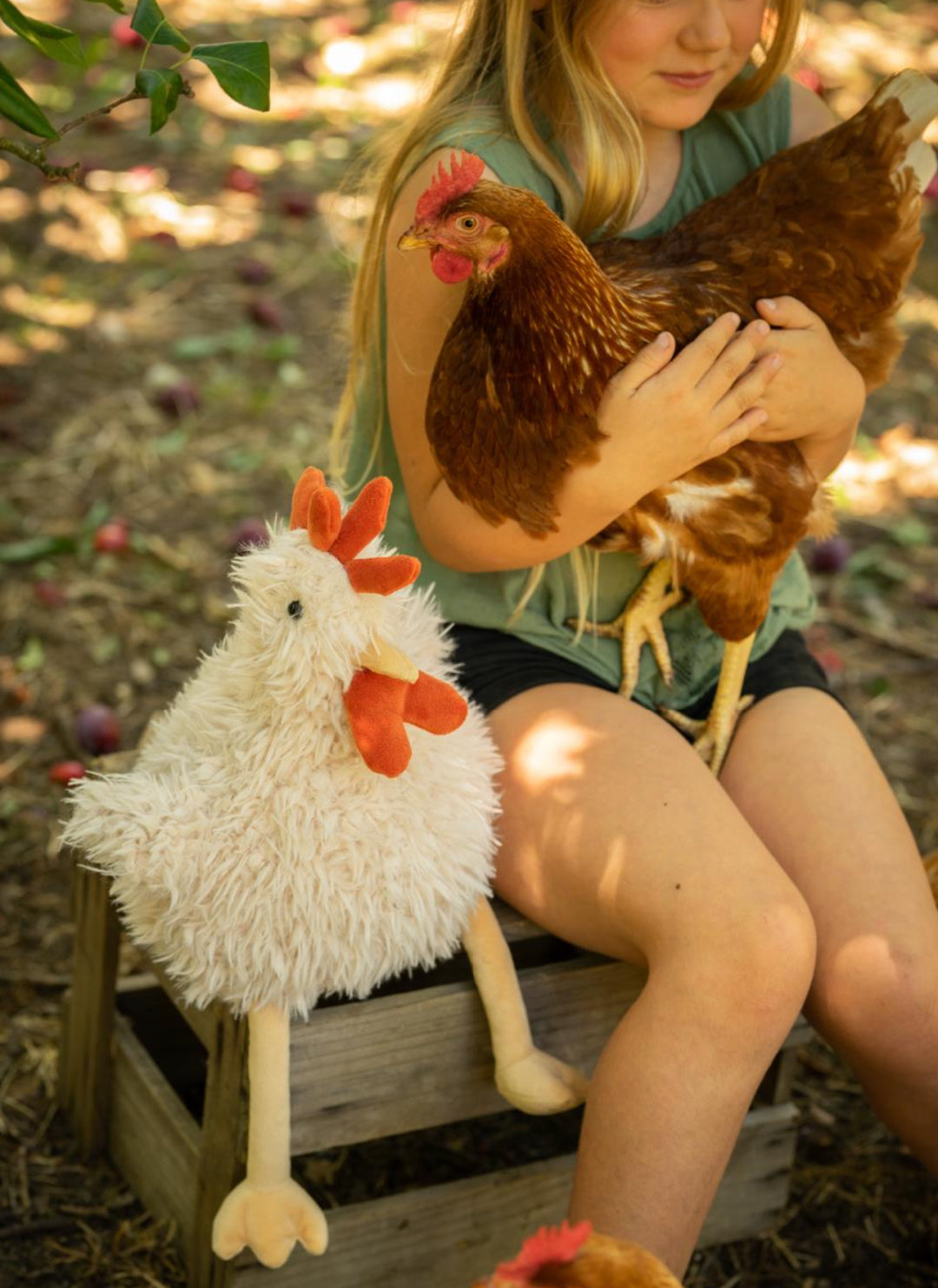 NANA HUCHY ROY THE ROOSTER