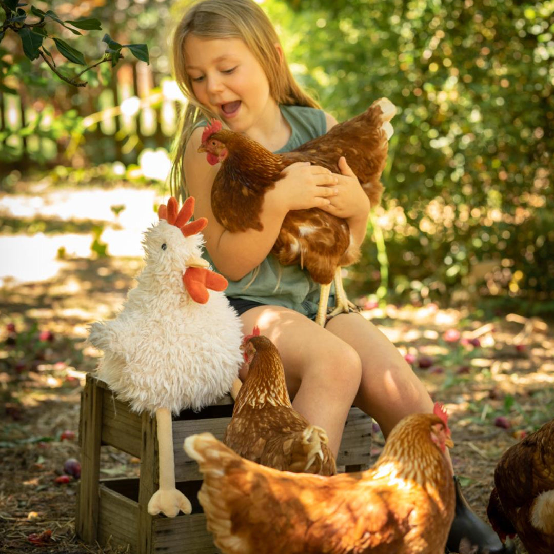 NANA HUCHY ROY THE ROOSTER