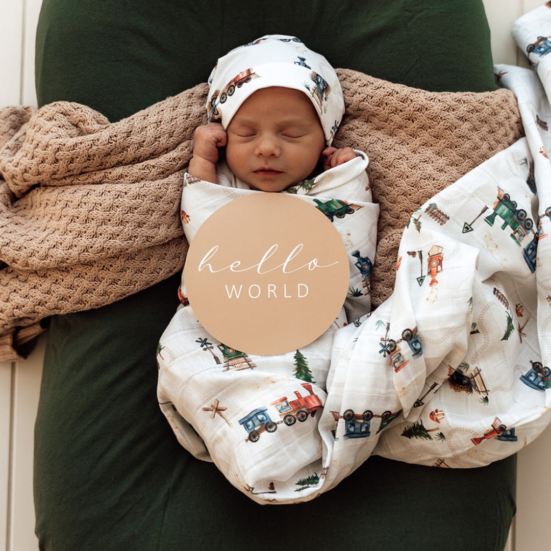 SNUGGLE HUNNY REVERSIBLE MILESTONE CARDS - TRAINS &amp; PEBBLE