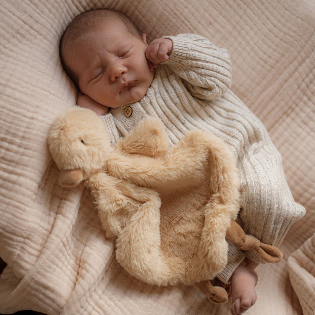 POP YA TOT QUACKS THE COMFORTER TOY