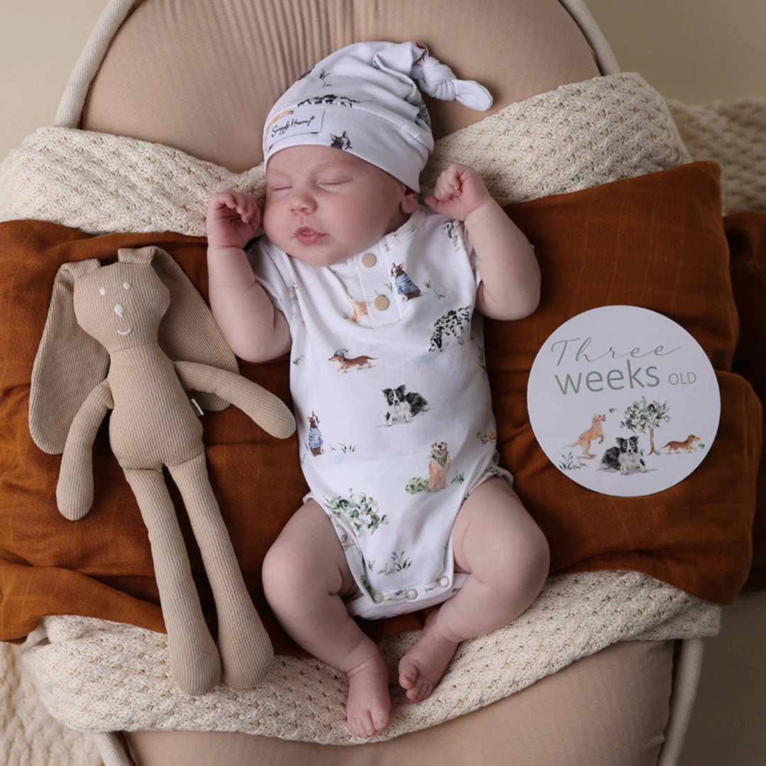 SNUGGLE HUNNY ORGANIC SHORT SLEEVE BODYSUIT - DOG PARK