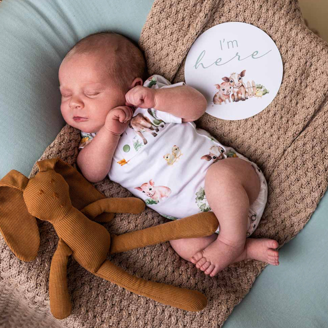 SNUGGLE HUNNY ORGANIC SHORT SLEEVE BODYSUIT - FARM