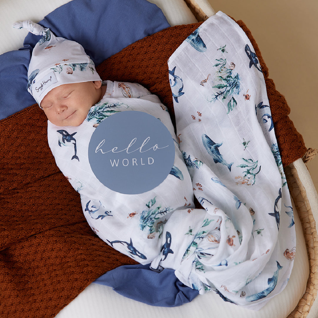 SNUGGLE HUNNY REVERSIBLE MILESTONE CARDS - OCEAN AND INDIGO