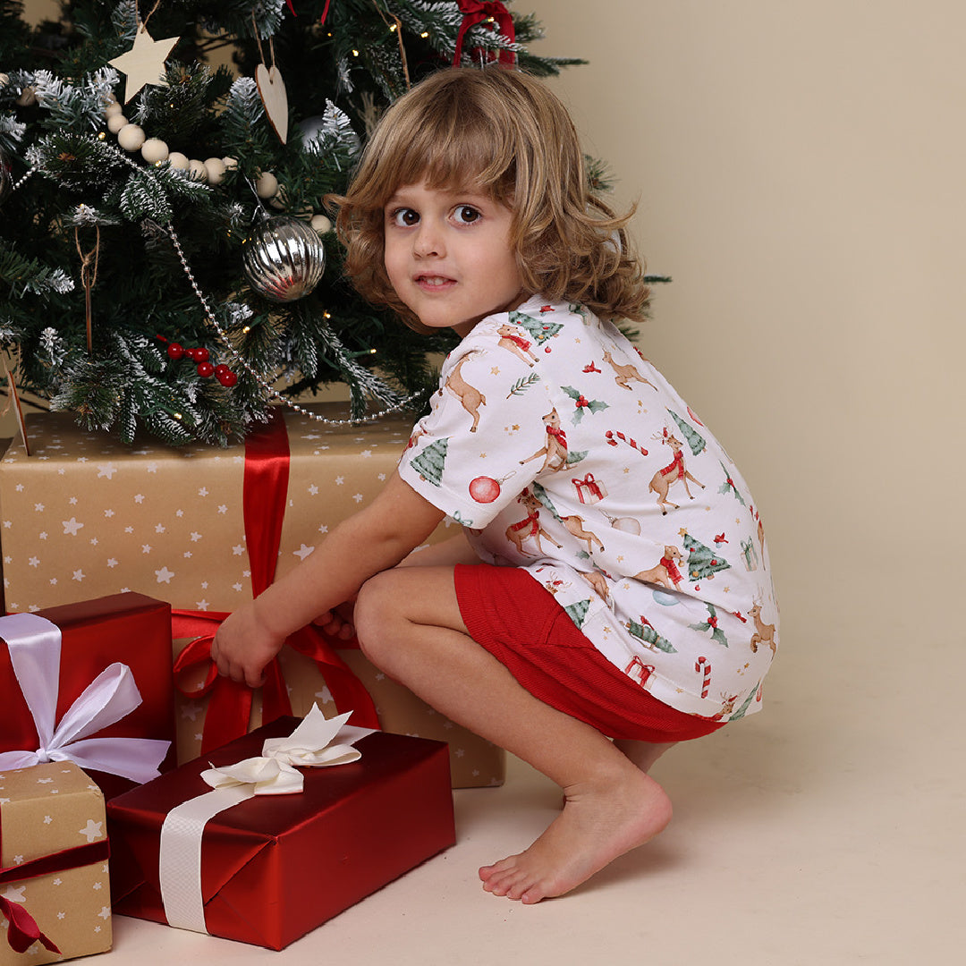 SNUGGLE HUNNY ORGANIC SHORT SLEEVE T-SHIRT - PRANCER &amp; FRIENDS