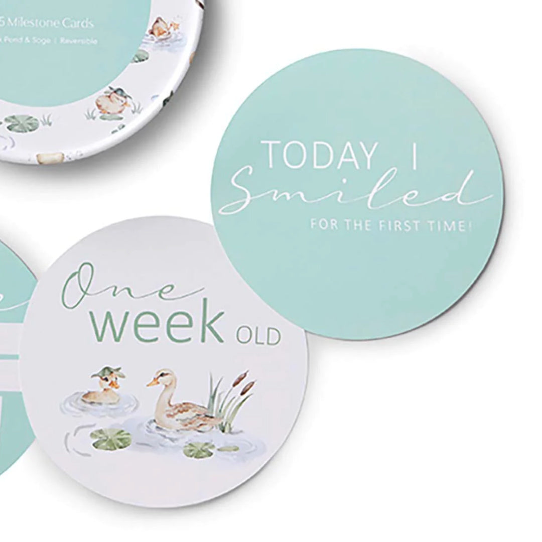 SNUGGLE HUNNY REVERSIBLE MILESTONE CARDS - DUCK POND &amp; SAGE