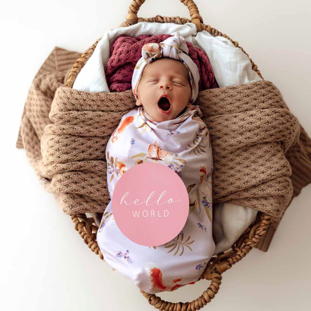 SNUGGLE HUNNY REVERSIBLE MILESTONE CARDS - MAJOR MITCHELL