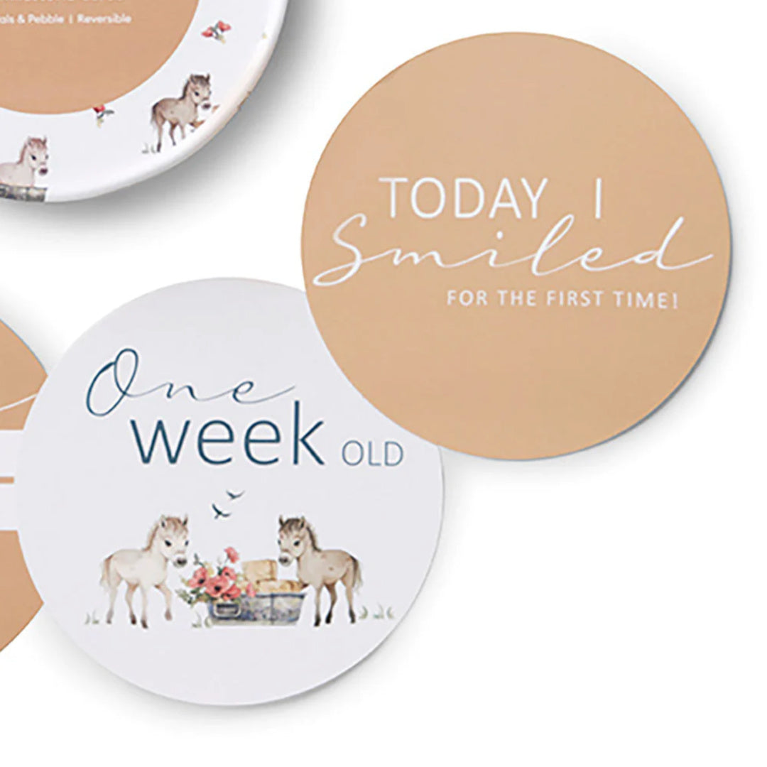 SNUGGLE HUNNY REVERSIBLE MILESTONE CARDS - PONY PALS &amp; PEBBLE