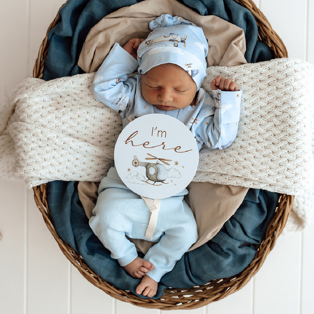 SNUGGLE HUNNY REVERSIBLE MILESTONE CARDS - TAKING FLIGHT