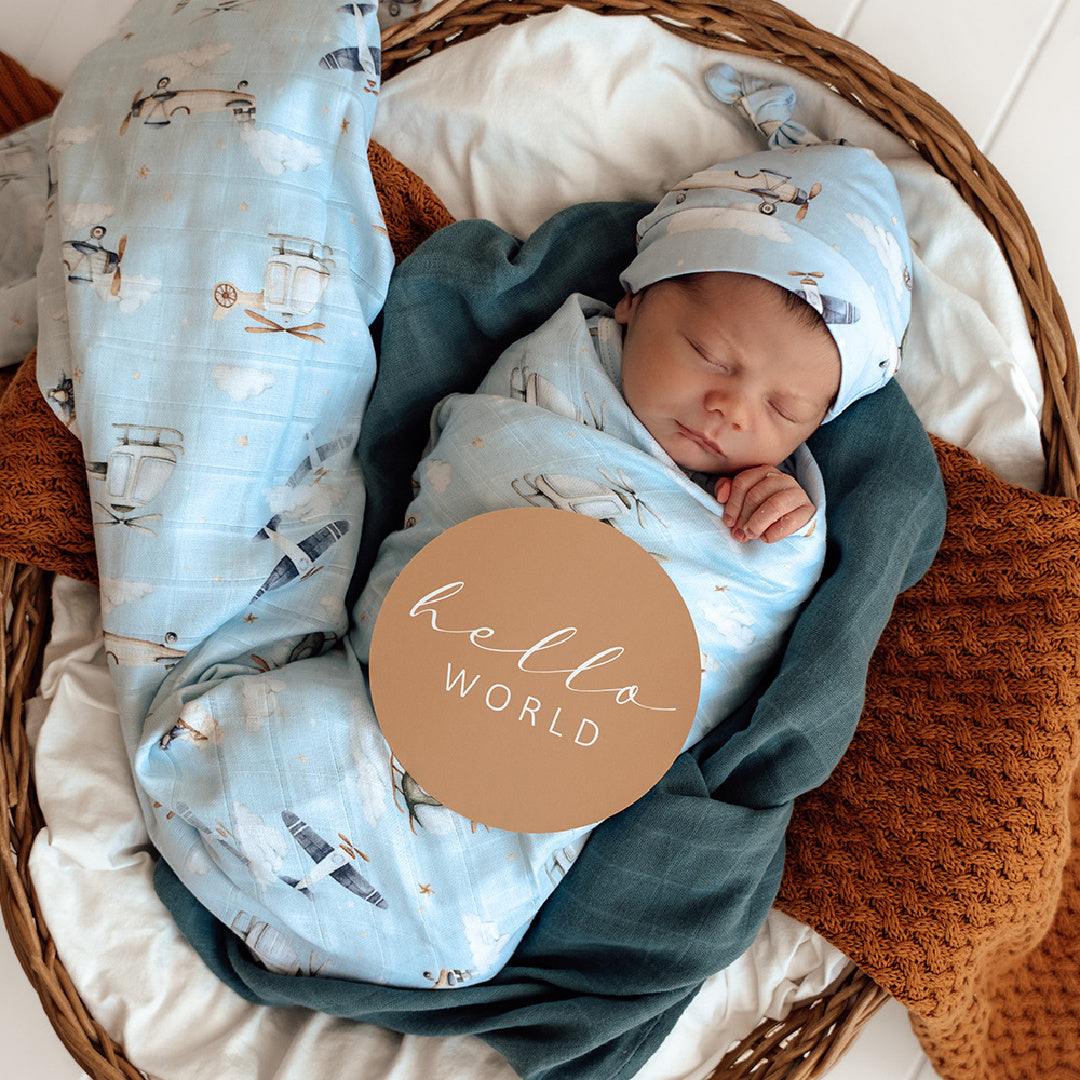 SNUGGLE HUNNY REVERSIBLE MILESTONE CARDS - TAKING FLIGHT