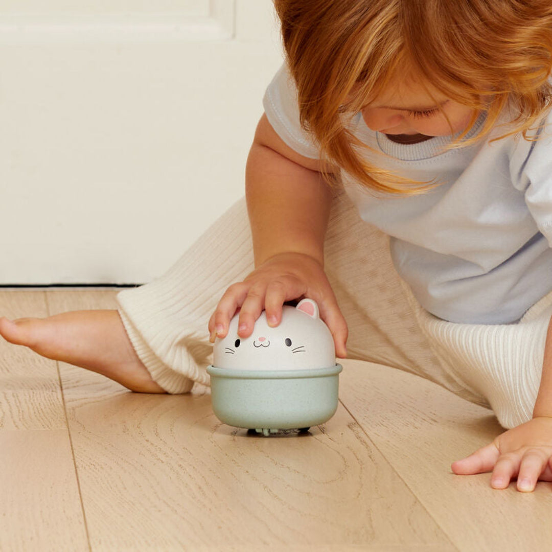 TIGER TRIBE ROCKING ROLLERS - CAT