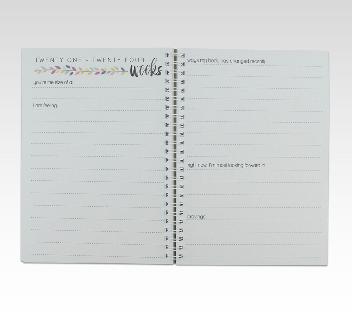 RHICREATIVE PREGNANCY JOURNAL