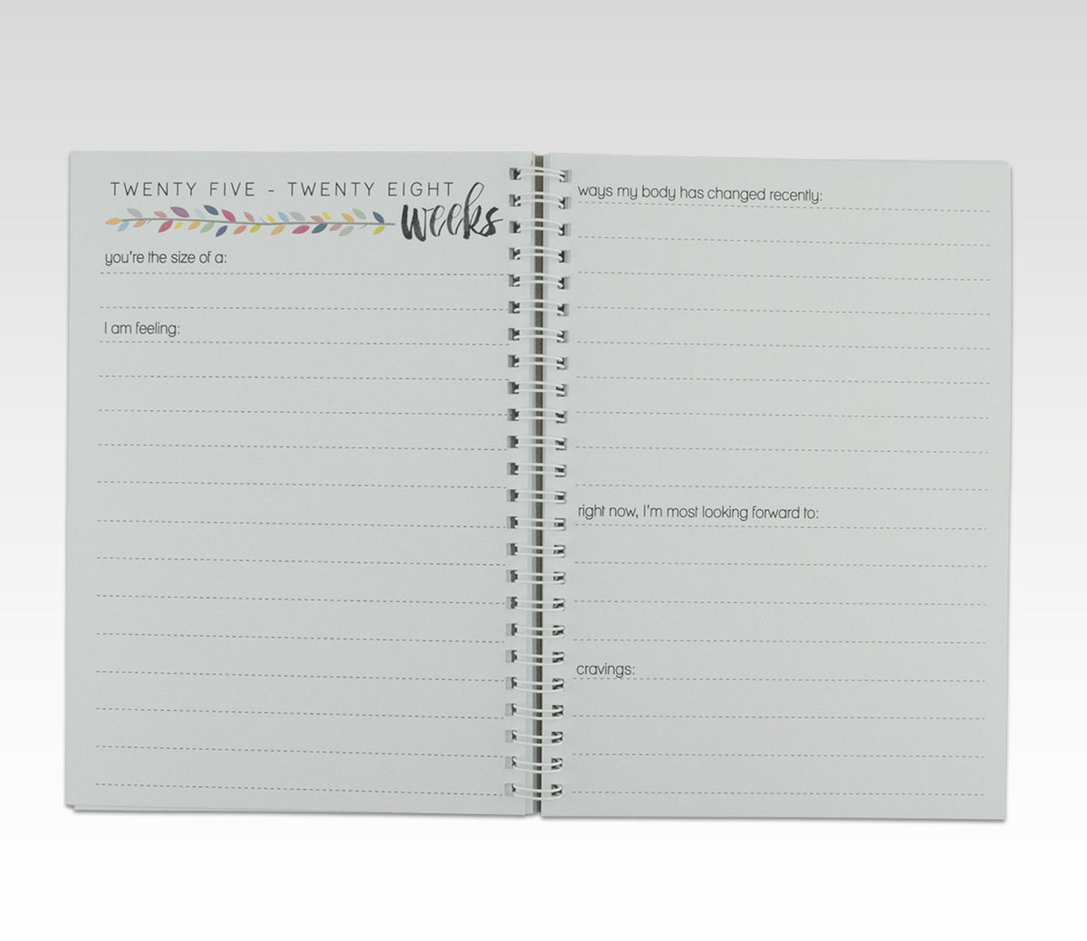 RHICREATIVE PREGNANCY JOURNAL