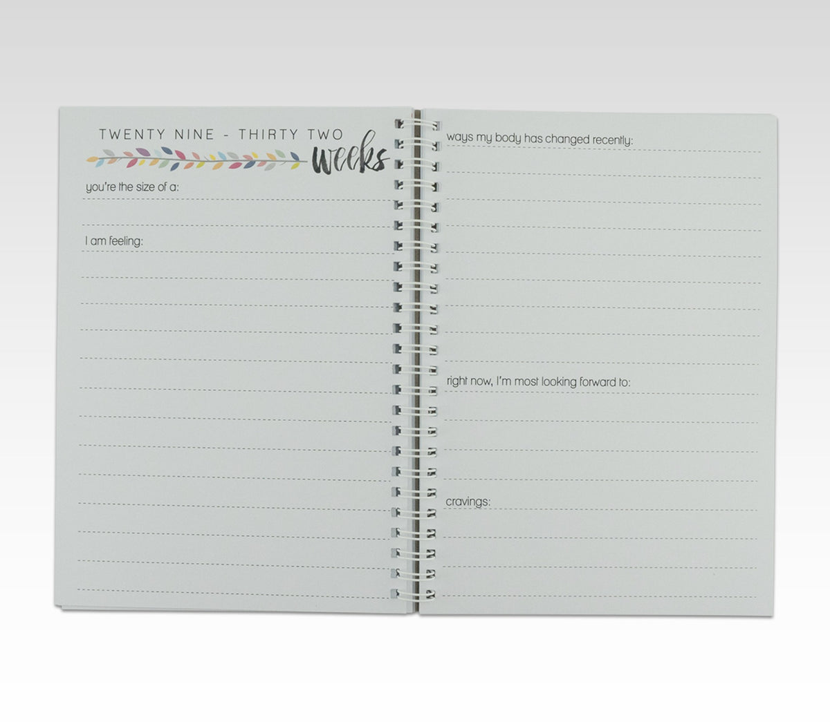 RHICREATIVE PREGNANCY JOURNAL