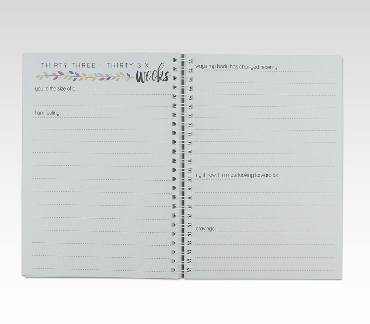 RHICREATIVE PREGNANCY JOURNAL