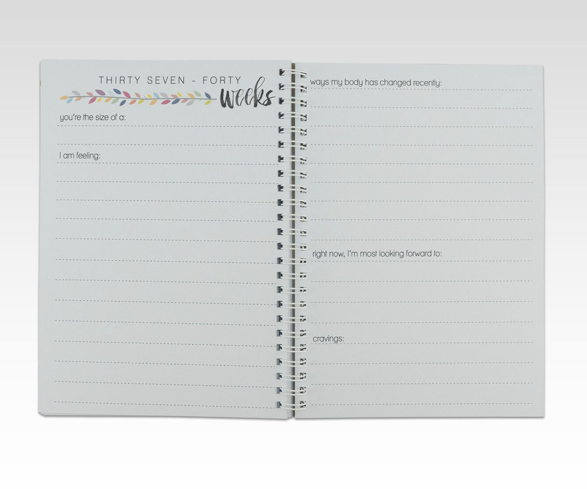 RHICREATIVE PREGNANCY JOURNAL