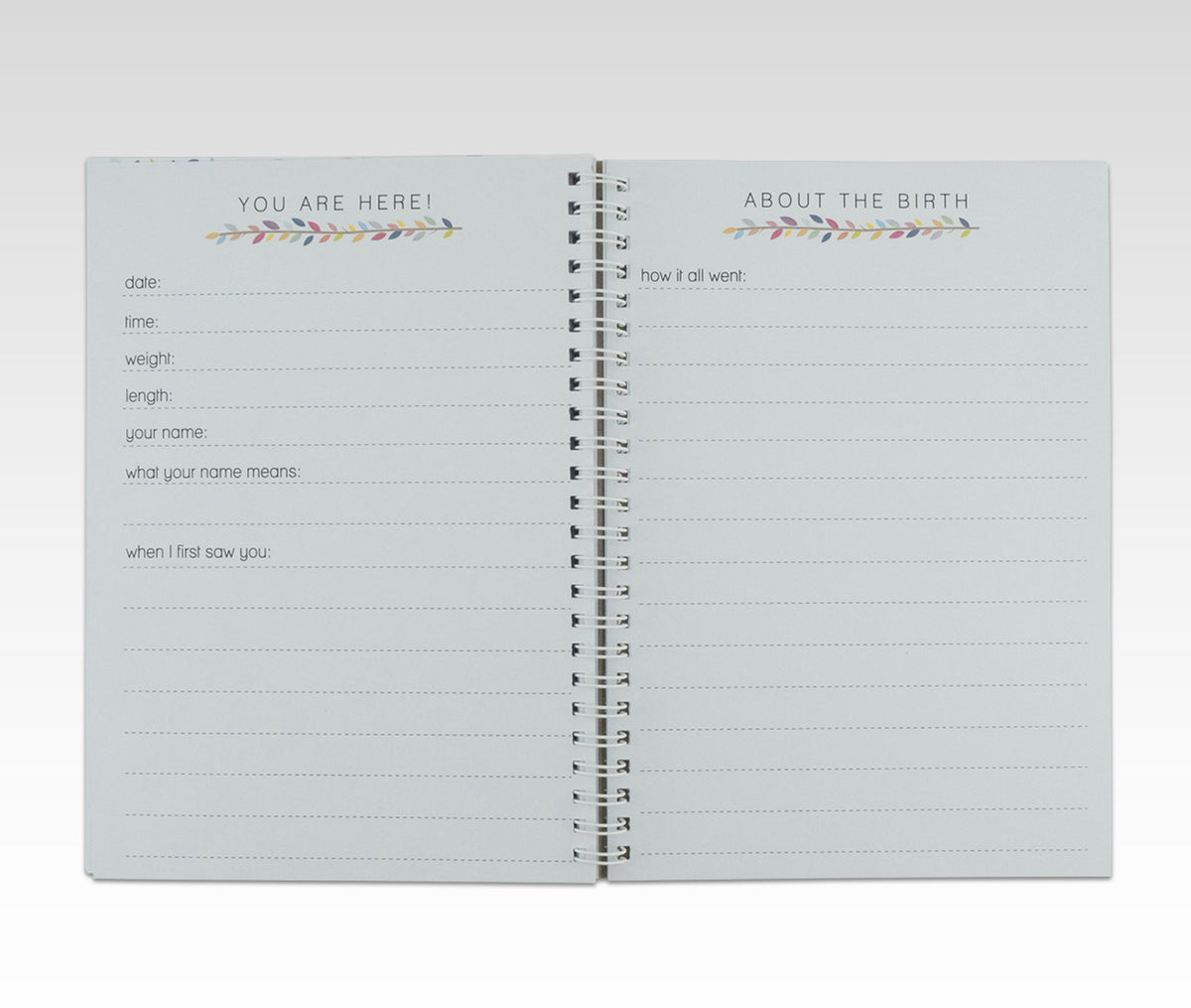 RHICREATIVE PREGNANCY JOURNAL