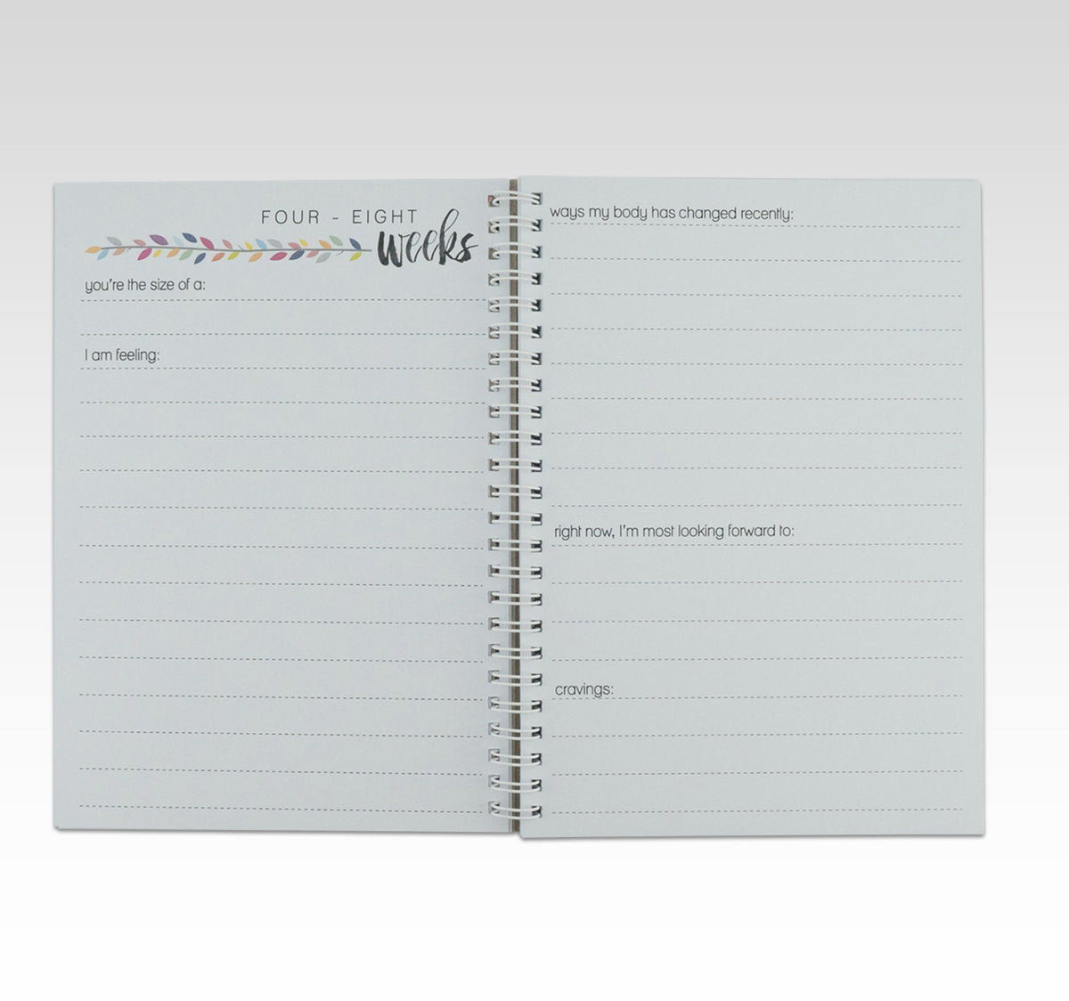 RHICREATIVE PREGNANCY JOURNAL