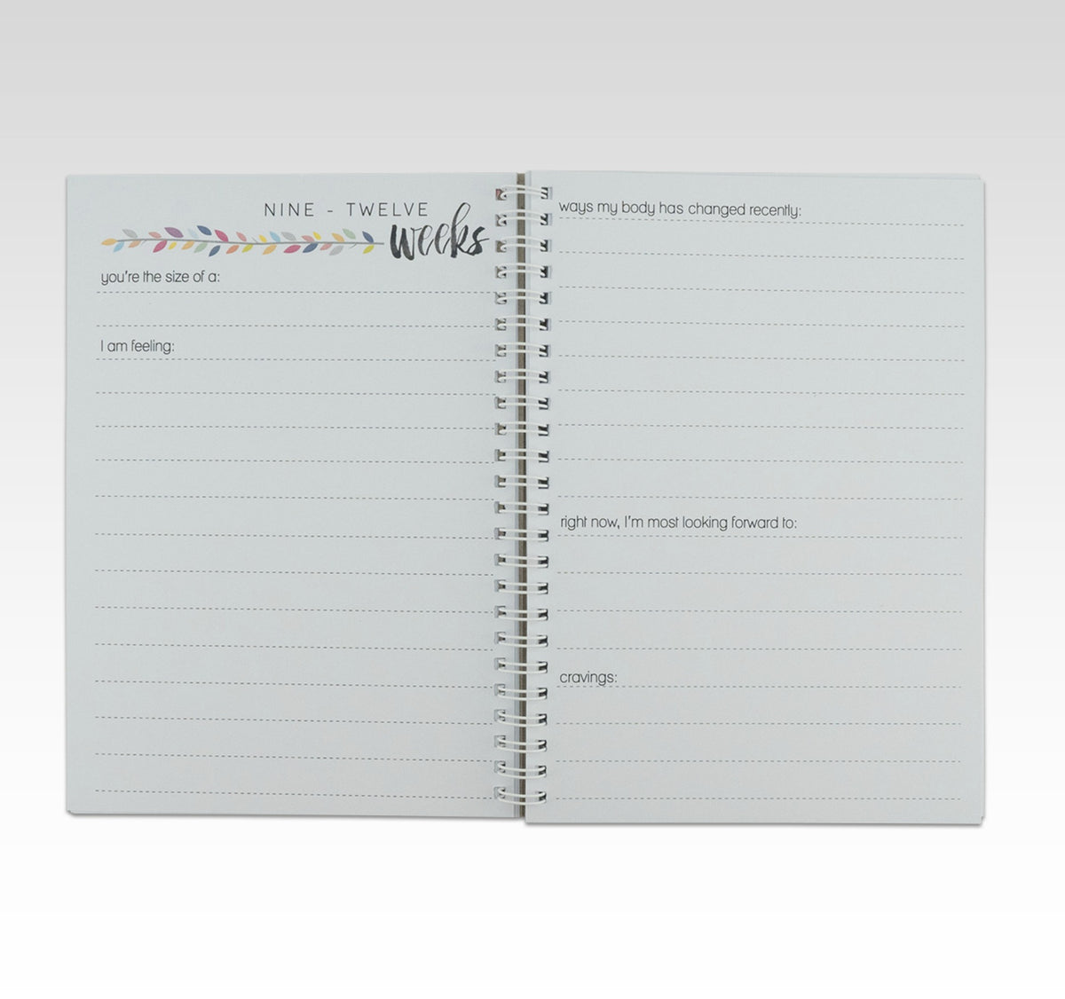 RHICREATIVE PREGNANCY JOURNAL