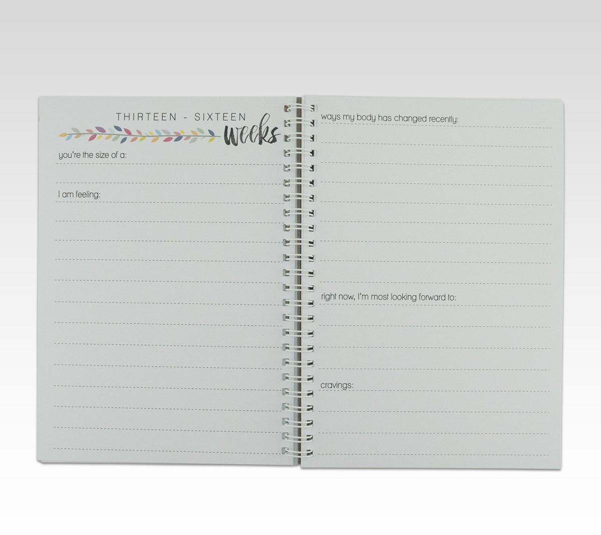 RHICREATIVE PREGNANCY JOURNAL