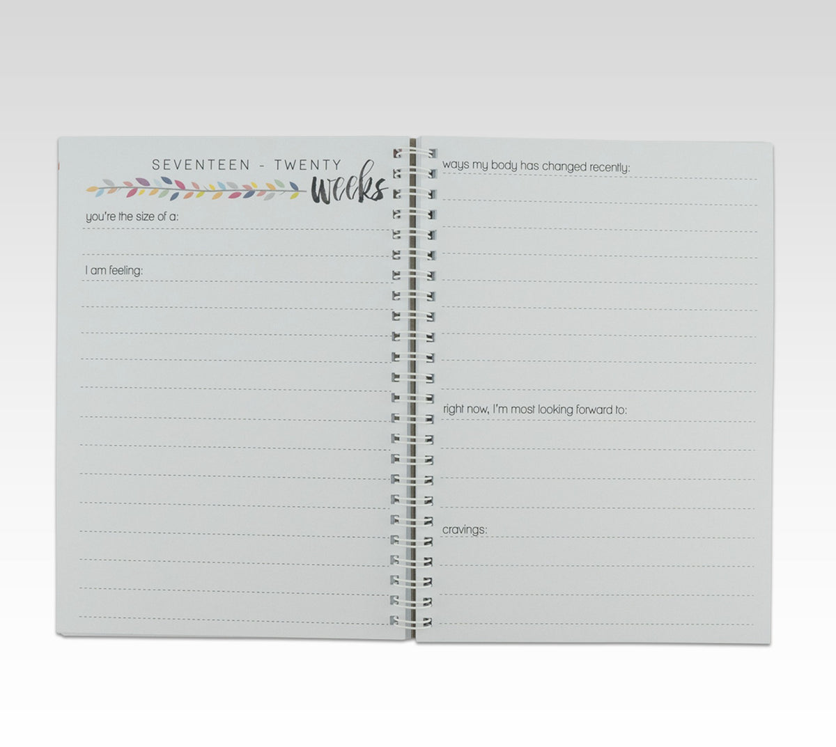 RHICREATIVE PREGNANCY JOURNAL