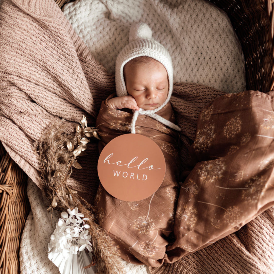 SNUGGLE HUNNY REVERSIBLE MILESTONE CARDS - DANDELION &amp; HAZELNUT