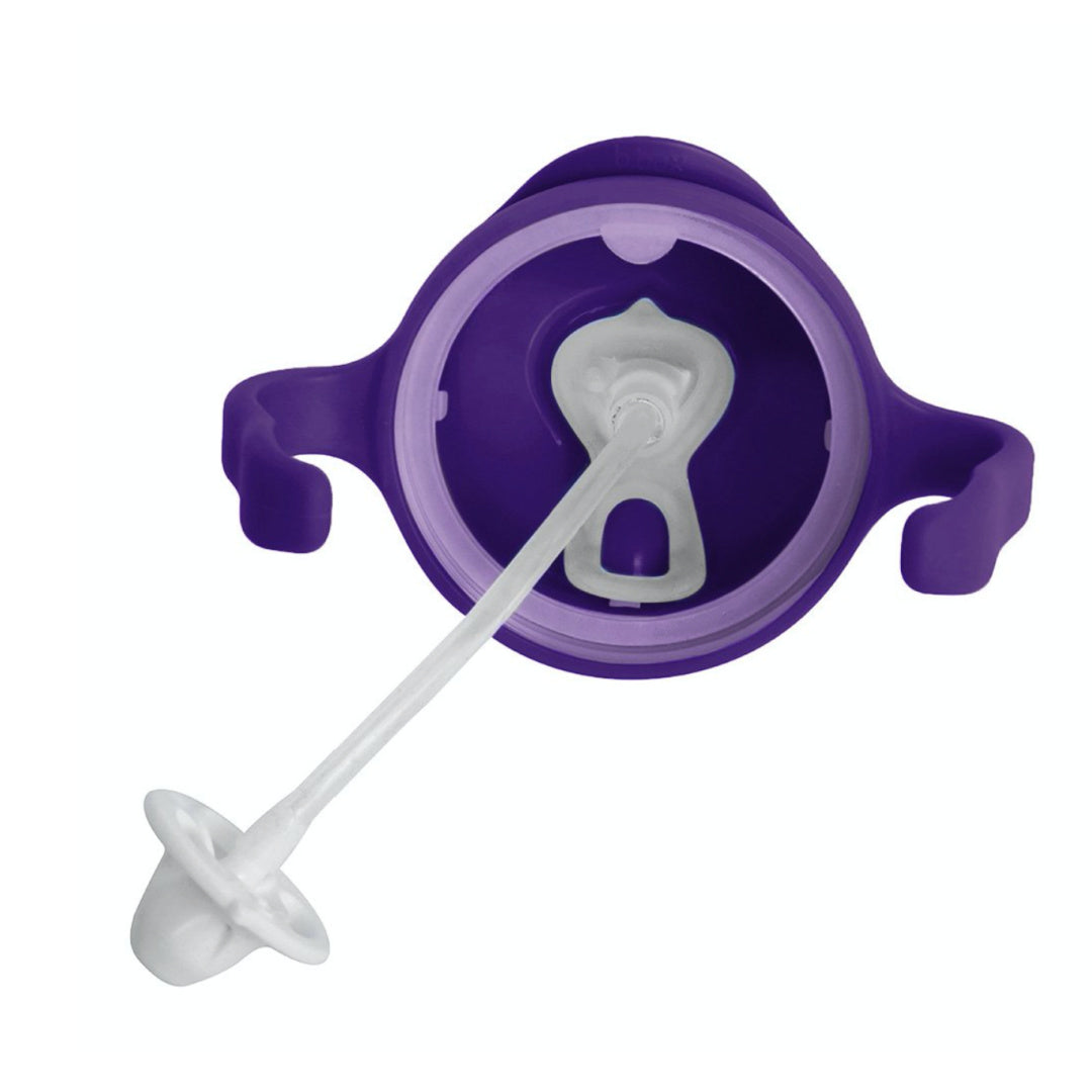 b.box Sippy Cup - Grape | Huggle