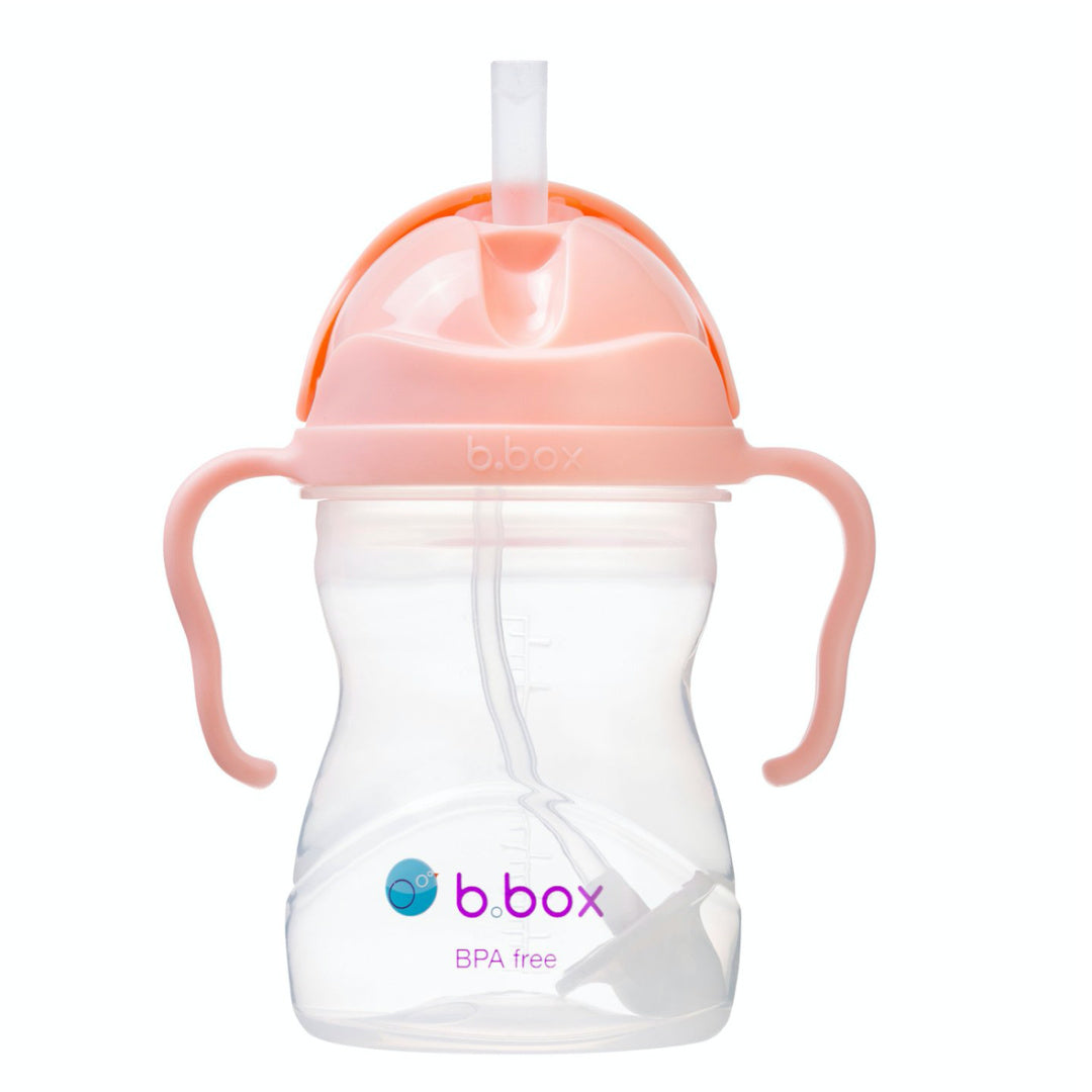 B.BOX SIPPY CUP - GELATO TUTTI FRUTTI