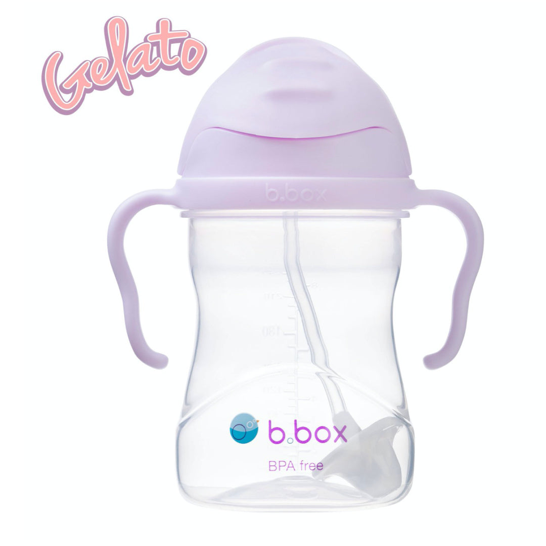 B.BOX SIPPY CUP - GELATO BOYSENBERRY