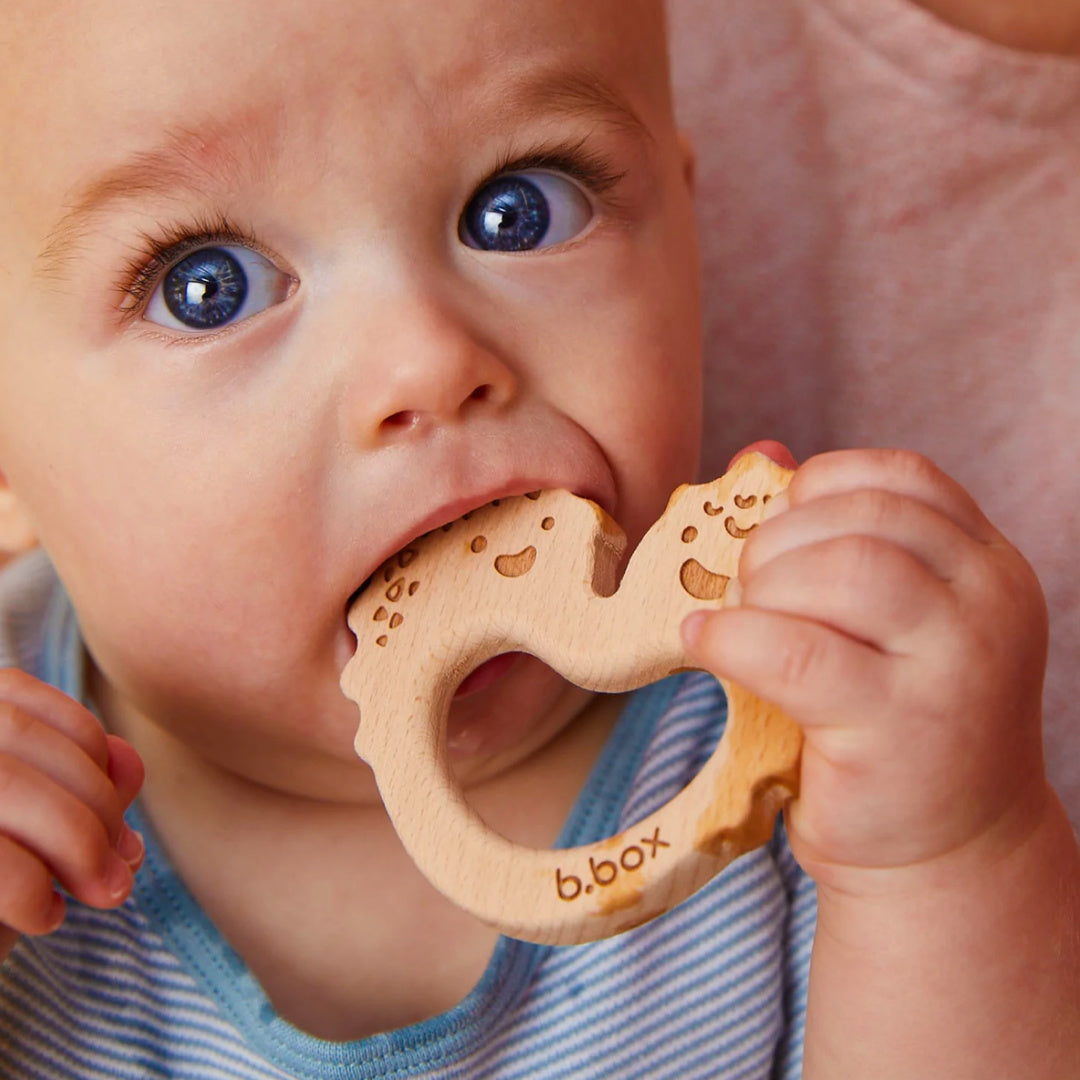 B.BOX TRIO TEETHER  (BLUSH)