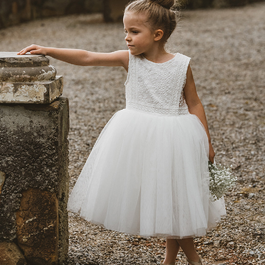 BEBE EMBROIDERED ORGANZA DRESS