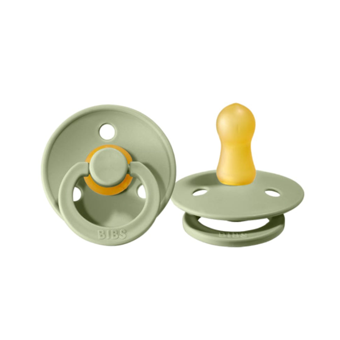 BIBS COLOUR DUMMY | 2 PACK - SAGE