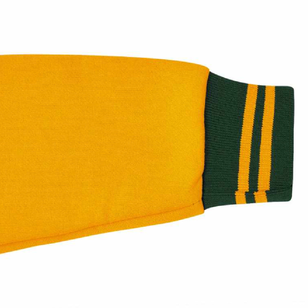 SWAYNEVILLE STATE SCHOOL BRUSHED FLEECE BASEBALL JACKET