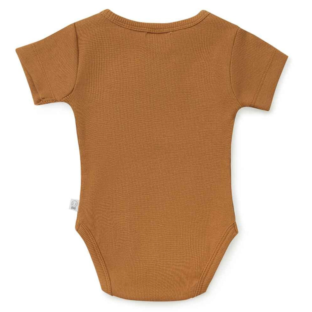 SNUGGLE HUNNY ORGANIC SHORT SLEEVE BODYSUIT - CHESTNUT