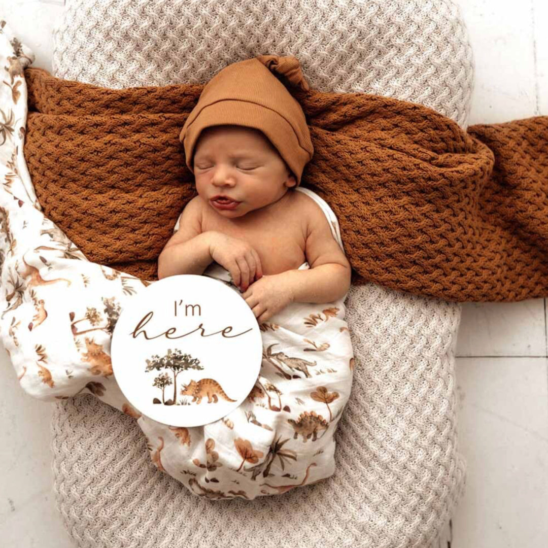 SNUGGLE HUNNY REVERSIBLE MILESTONE CARDS - DINO &amp; DEWKIST